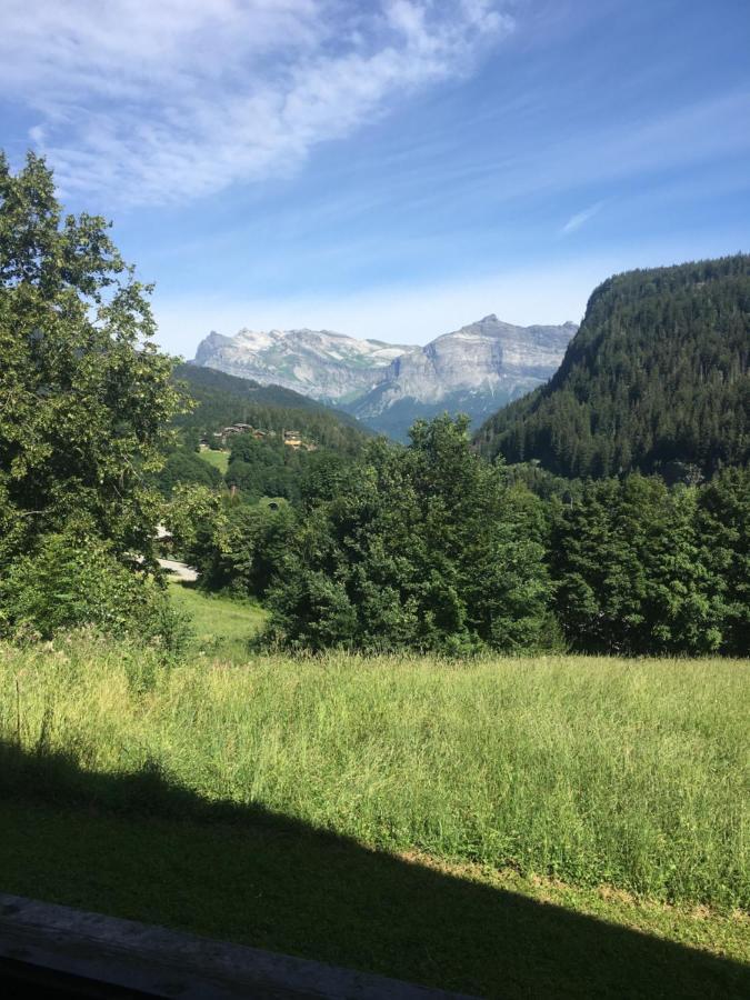 Vallee De Chamonix Au Pied Des Pistes ليز أوش المظهر الخارجي الصورة