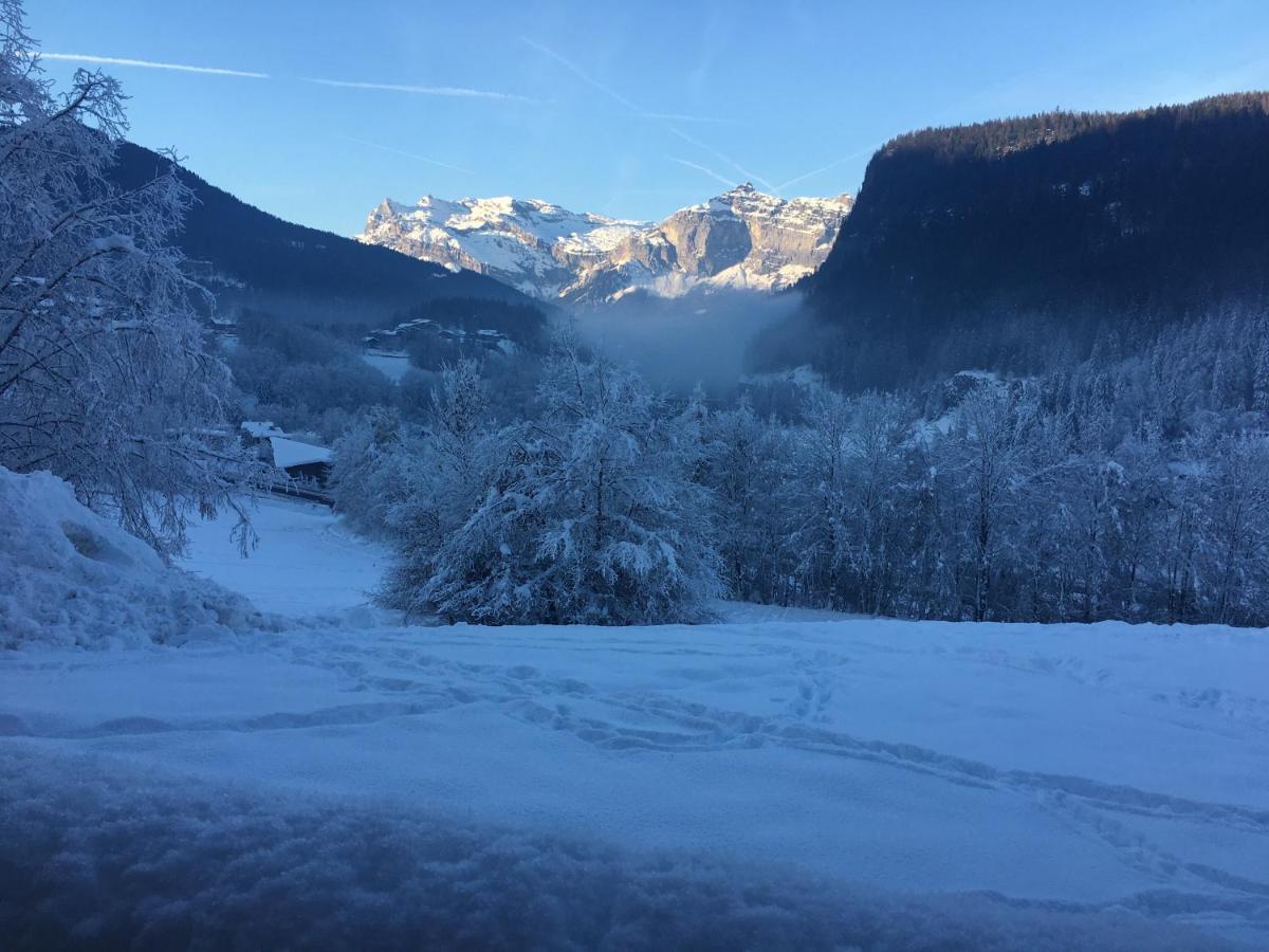 Vallee De Chamonix Au Pied Des Pistes ليز أوش المظهر الخارجي الصورة